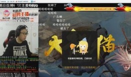 龙猫爆料主播是谁啊视频,揭秘热门视频背后的神秘人物